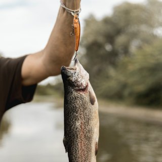 Muž chytil rybu na řece